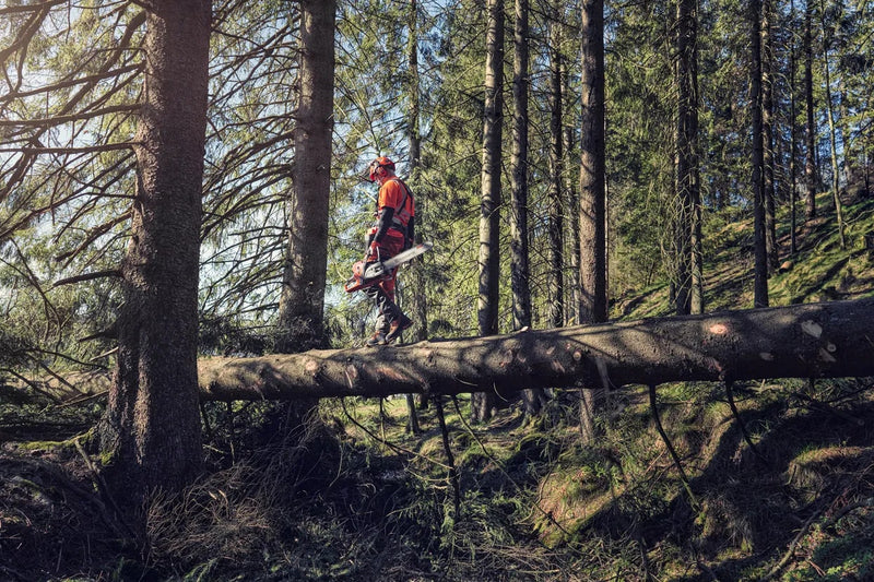 HUSQVARNA 572 XP® Chainsaws